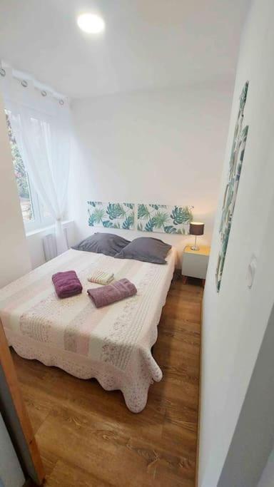 Appartements Cosy Belfort Bagian luar foto